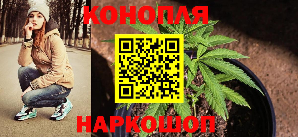 Бошки марихуана OG Kush Тара